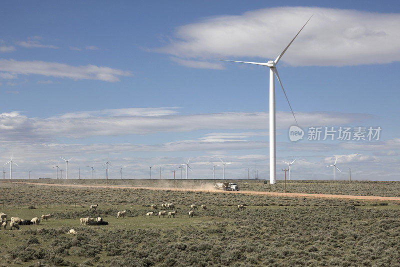 羊放牧Fort Bridger怀俄明山风力农场涡轮机半卡车